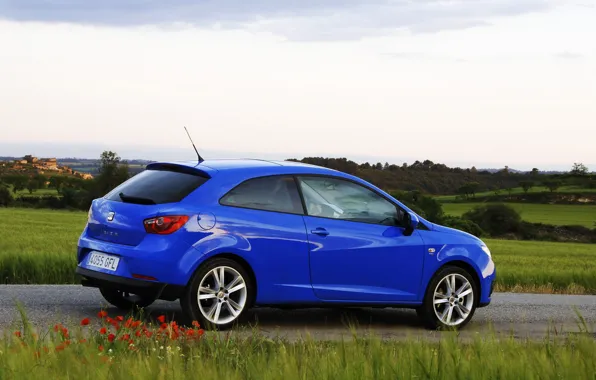 Дорога, пейзаж, seat, ibiza