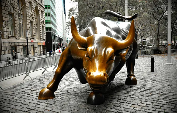 Нью-Йорк, Манхеттен, сша, «Атакующий бык», Arif Mahmood Photography, Уолл Стрит, 3200 килограмовая бронзовая статуя