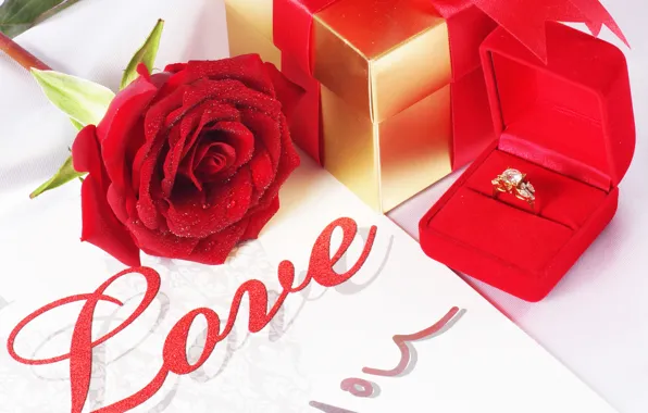 Капли, любовь, подарок, роза, красная, свадьба, обручальное кольцо, wedding rings