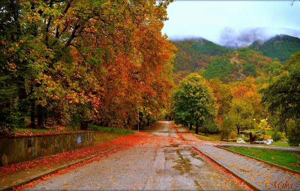 Картинка Дорога, Осень, Деревья, Fall, Autumn, Colors, Road, Trees