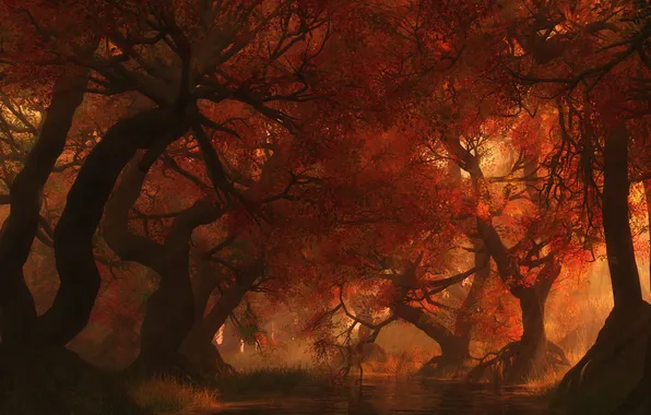 Картинка осень, лучи, деревья, тень