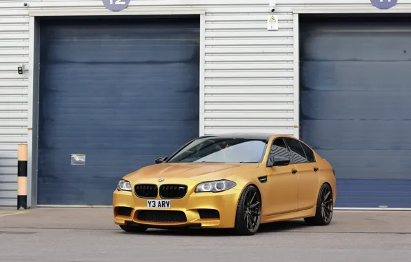 BMW, F10, Gold, M5