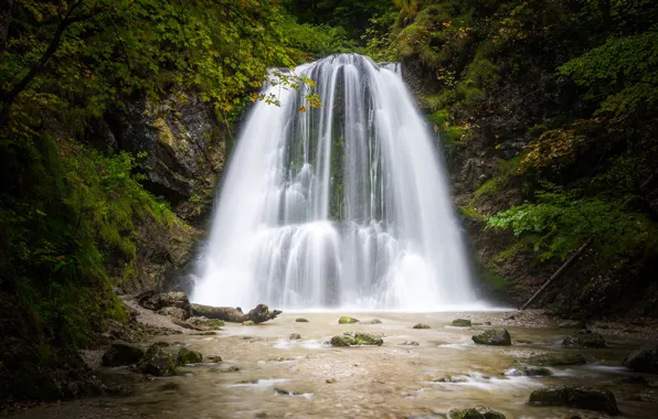 Картинка лес, деревья, ручей, камни, водопад