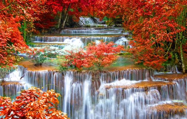 Картинка осень, лес, пейзаж, водопад, nature, water, autumn, waterfall