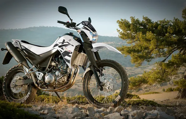 Yamaha, кросс, XT660R