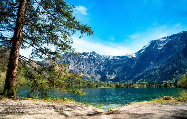 Пейзаж, горы, озеро, Австрия, Salzkammergut