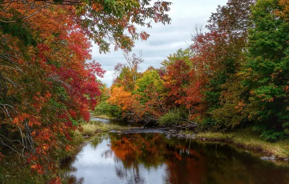 Картинка осень, лес, небо, деревья, река, камни