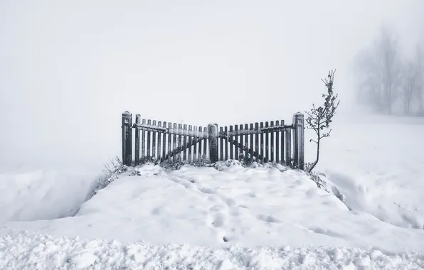 Картинка зима, снег, туман, ворота