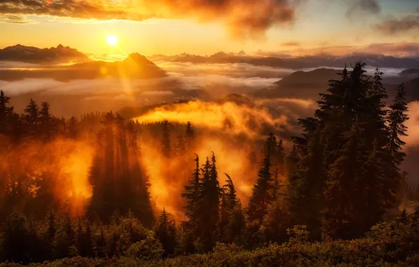 Forest, sky, sunset, sun, Washington, lookout, Evergreen Mountain