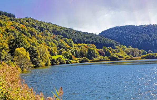 Картинка осень, лес, небо, солнце, деревья, горы, природа, река