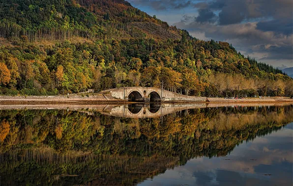 Осень, лес, деревья, мост, озеро, отражение, Шотландия, Scotland