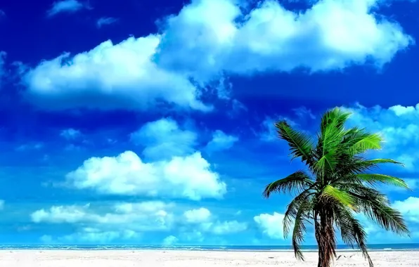Картинка песок, небо, пальмы