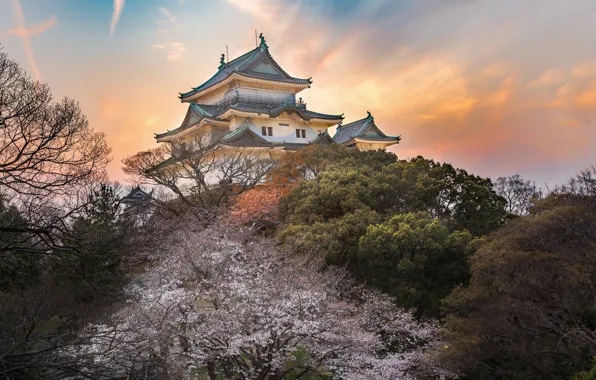 Замок, весна, Япония, сад, сакура