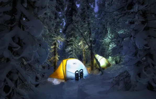 Картинка зима, лес, свет, снег, ночь, сугробы, палатка, путешествие