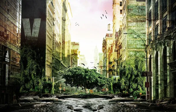 Картинка природа, город, дерево, здания, разруха