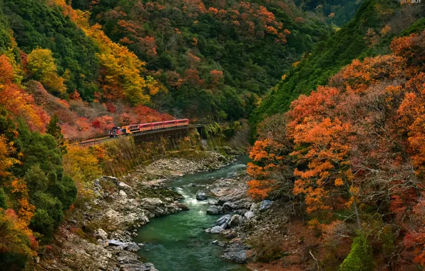 Дорога, осень, лес, деревья, горы, река, поезд