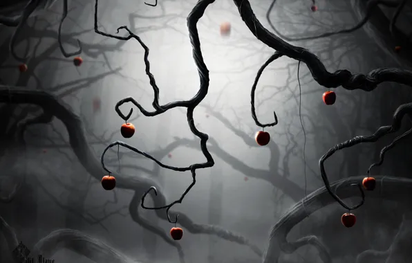 Картинка деревья, ветки, туман, ветви, мрак, яблоки