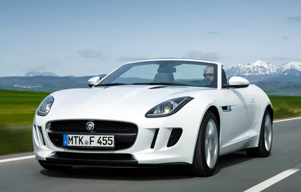 Картинка дорога, белый, Jaguar, капот, ягуар, передок, 2013, F-Type
