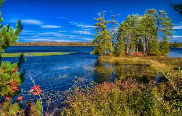 Осень, деревья, озеро, США, штат Нью-Йорк