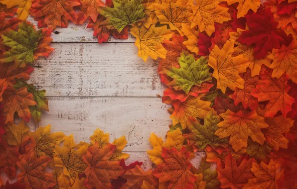 Осень, листья, фон, дерево, colorful, доска, wood, background