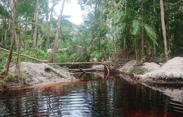 Nature in Suriname, Black water in Suriname, Para Suriname, Swimming resort in Suriname
