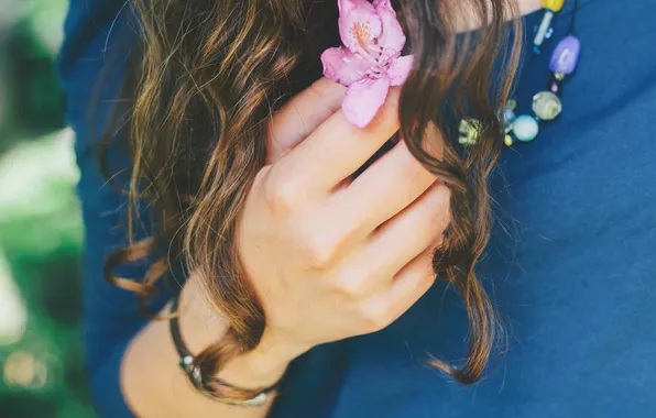 Картинка цветок, розовый, волосы, рука, лепестки, локоны