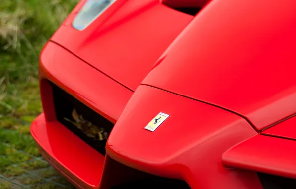 Ferrari, logo, Ferrari Enzo, Enzo, close-up, badge