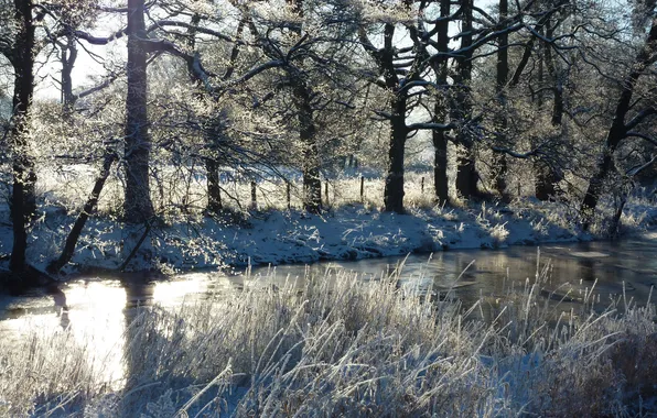 Картинка зима, трава, снег, деревья, река, забор, солнечно
