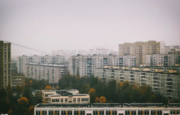 City, trees, apartments