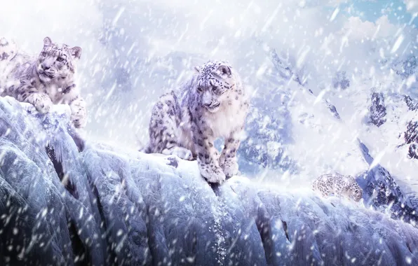 Картинка лед, животные, снег, кошки, горы, леопард, ирбис, барс