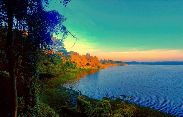 Sky, Grass, Water, Sunrise, Dawn, Morning, Lake, Trees