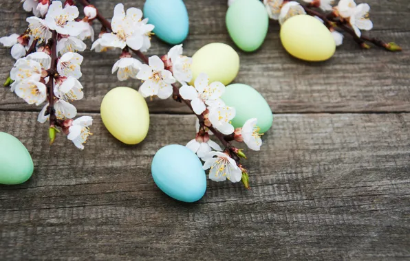 Цветы, яйца, весна, colorful, Пасха, happy, wood, blossom