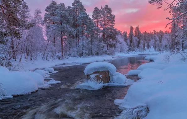 Картинка зима, лес, снег, река, рассвет, утро, сугробы, Россия