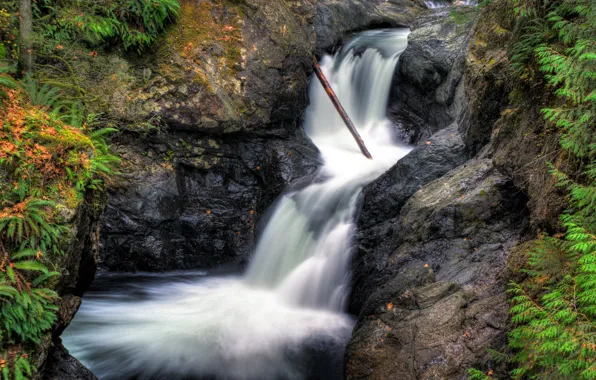 Картинка Водопад, Скалы, Waterfall