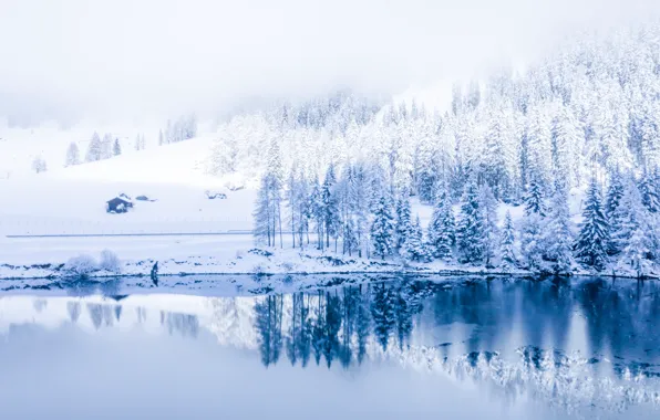 Картинка зима, снег, деревья, пейзаж, горы, река, елки, forest