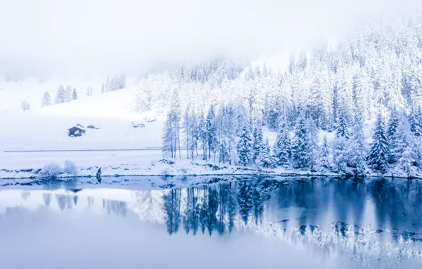 Зима, снег, деревья, пейзаж, горы, река, елки, forest