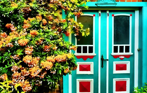 Дверь, Цветы, Flowers, Арт, Art, Рисунок, Door