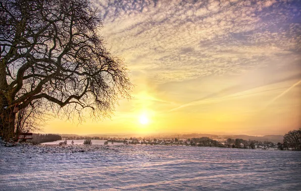 Зима, поле, снег, дерево