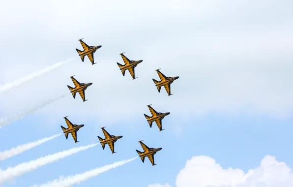 Истребитель, Пилотажная группа, ВВС Республики Корея, Формация, KAI T-50B Golden Eagle, KAI T-50B, Black Eagles