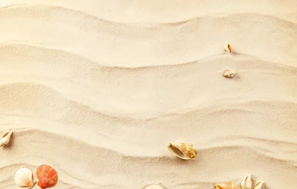 Картинка песок, волны, waves, ракушки, морская звезда, sand, shells, starfish