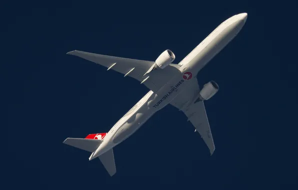 Самолет, Boeing 777, В полете, Turkish airlines