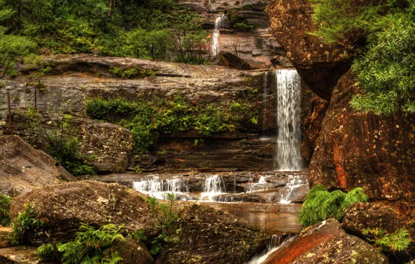 Камни, водопад, Австралия, кусты, Wentworth Falls