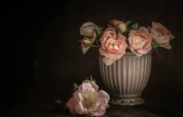 Картинка фон, розы, ваза, бутоны