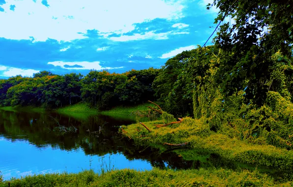 Sky, Grass, Water, Sunrise, Dawn, Morning, Lake, Trees