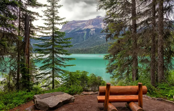 Лес, деревья, горы, озеро, скалы, берег, лавочка, Emerald Lake