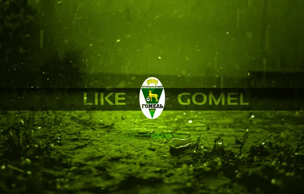Football, Беларусь, футбольный клуб, Гомель, Gomel