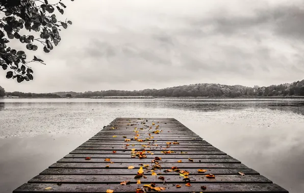 Осень, листья, мост, озеро