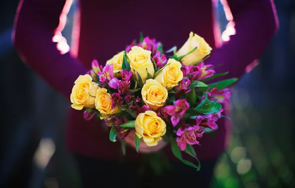 Цветы, розы, букет, желтые