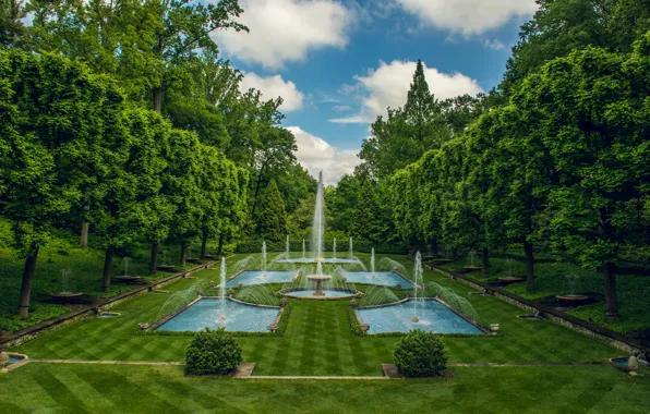 Деревья, парк, Пенсильвания, фонтаны, Pennsylvania, Kennett Square, Longwood Gardens, Italian Water Garden