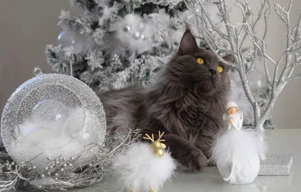 Зима, кошка, кот, взгляд, морда, ветки, серый, игрушки